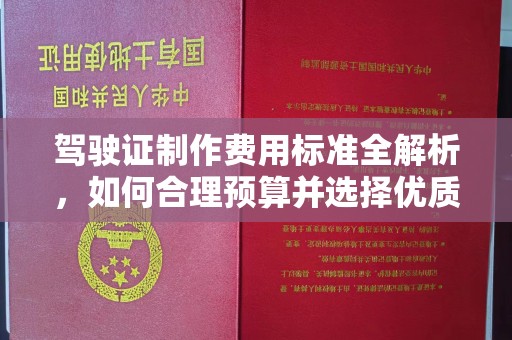 琼结驾驶证制作费用标准全解析，如何合理预算并选择优质服务？
