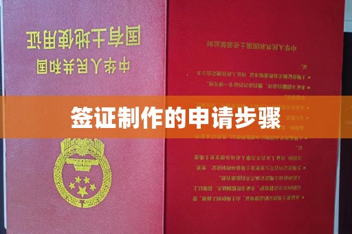 琼结签证制作的申请步骤