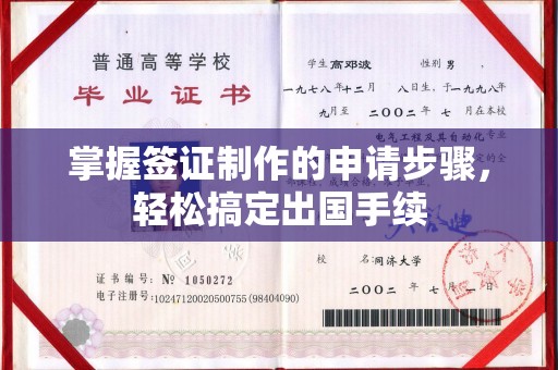 琼结掌握签证制作的申请步骤，轻松搞定出国手续