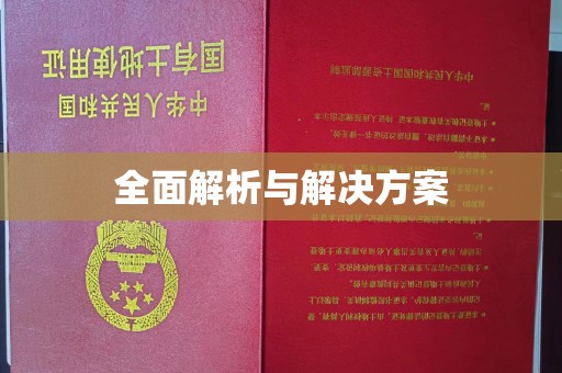 琼结全面解析与解决方案
